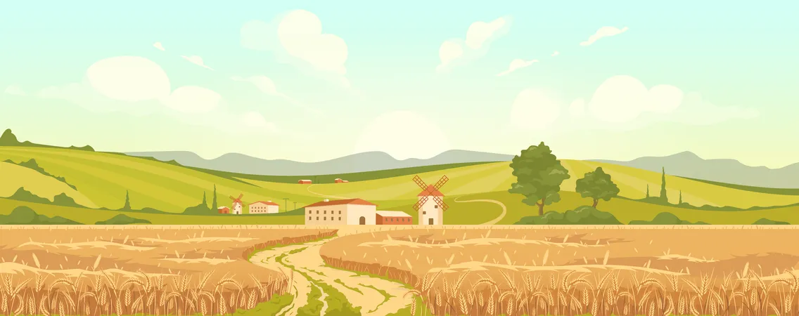 Agricultural field  Illustration