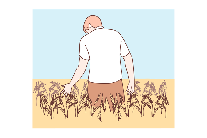 Agriculture, agriculture, concept d'agronomie  Illustration