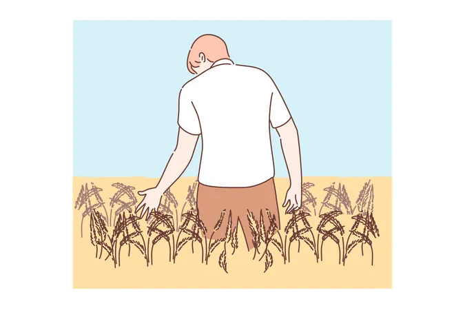 Agriculture, agriculture, concept d'agronomie  Illustration