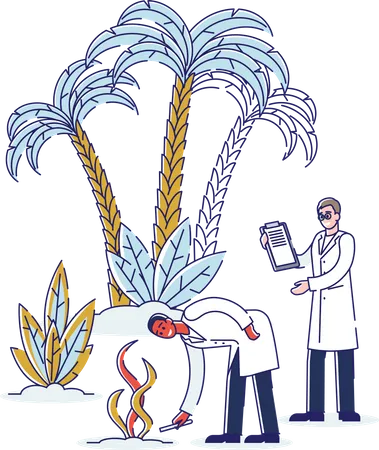 Agriculture research and testing done by specialists  Illustration