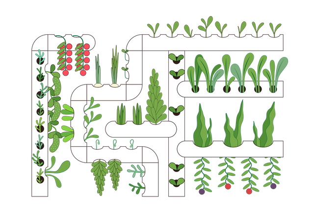 Agriculture urbaine  Illustration