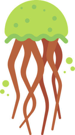 Medusa  Ilustração