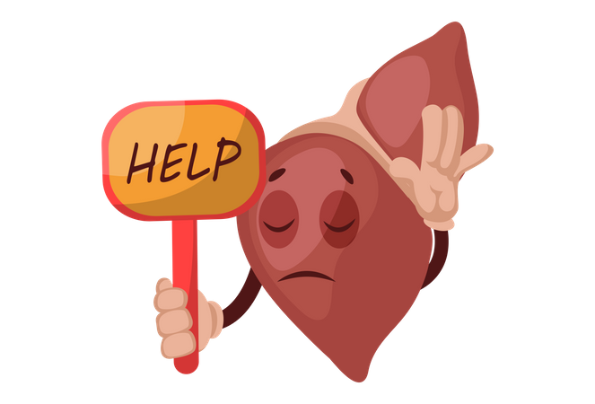 Ajude o fígado  Ilustração