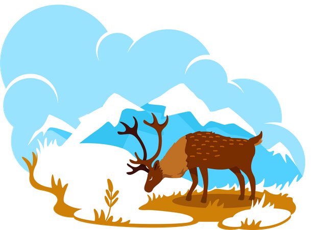 Alaska Illustration