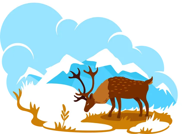 Alaska  Illustration