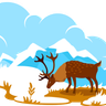 illustrations of tundra