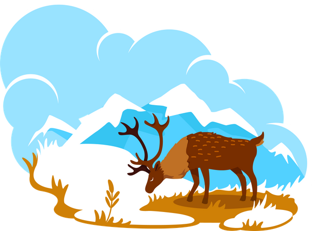 Alaska  Illustration