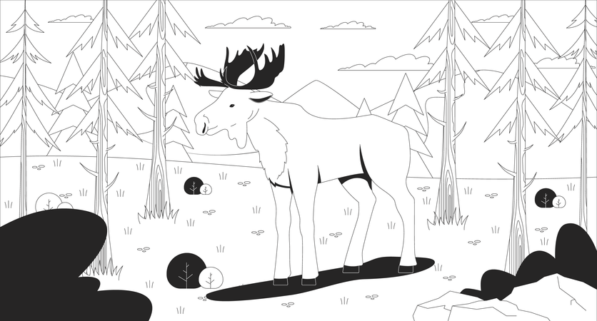 Alce de pie en un claro del bosque de montaña  Ilustración