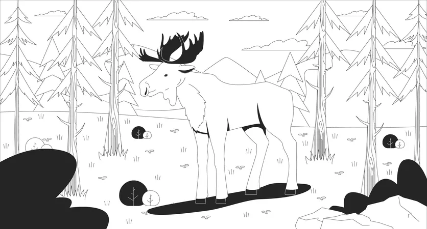 Alce de pie en un claro del bosque de montaña  Ilustración