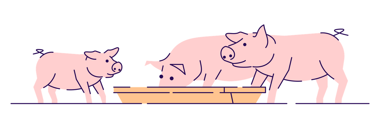 Alimentação de porcos cor de rosa  Ilustração