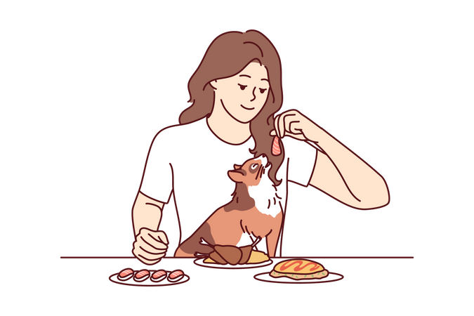 Alimentación femenina para gatos.  Ilustración