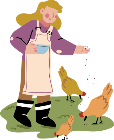 Alimentation du poulet  Illustration