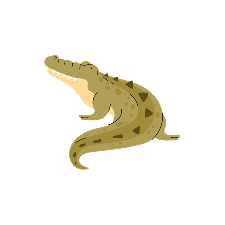 Alligatorarten  Illustration