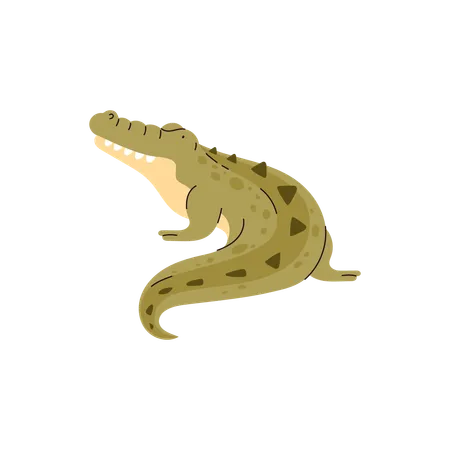 Alligatorarten  Illustration