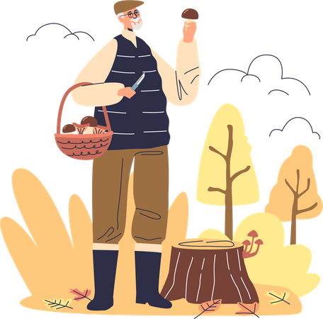 Älterer Mann sammelt Pilze im herbstlichen Wald  Illustration