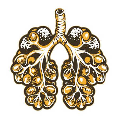 Alveoli  Illustration