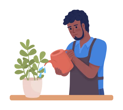 Ama de casa masculina regando plantas de interior regularmente  Ilustración