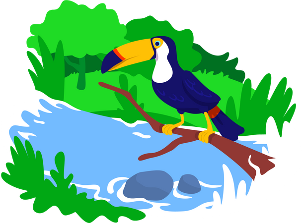 Amazonas  Illustration