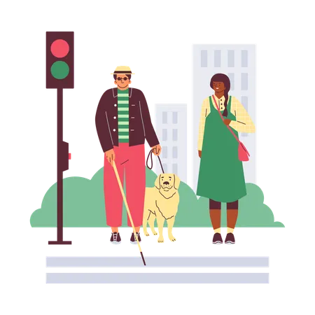 Ambiente urbano inclusivo para pessoas com deficiência  Ilustração