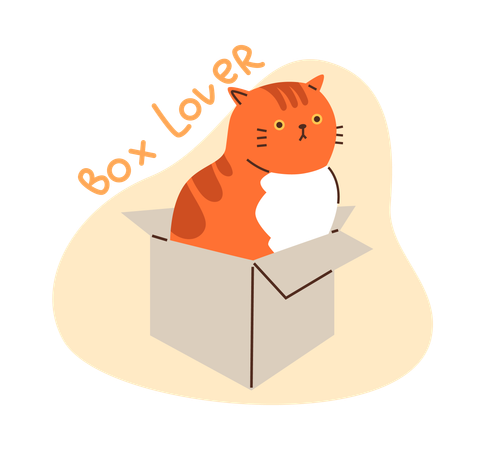 Chat roux "Box Lover"  Illustration