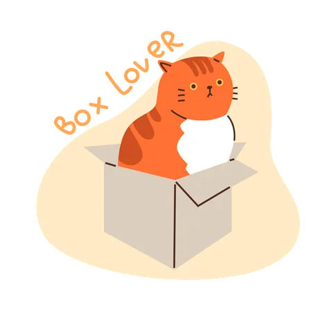 Chat roux "Box Lover"  Illustration