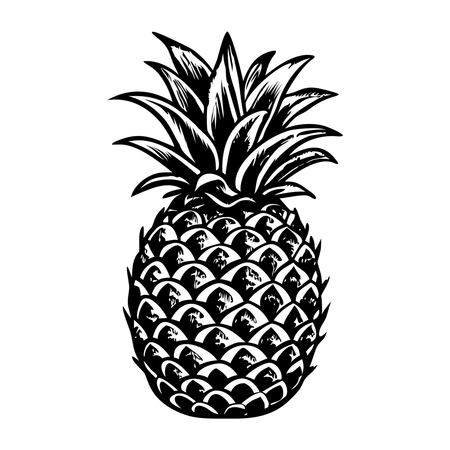 Ananas  Illustration