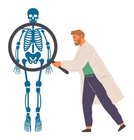 Anatomía del cuerpo humano  Ilustración