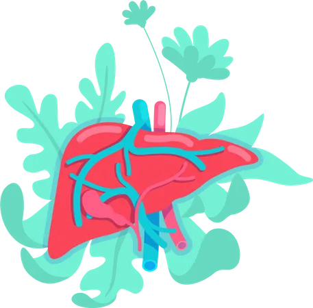 Anatomical Liver Flat Concept Vector Illustration Gastrointestinal System Intestine With Bowel Physiology 2 D Cartoon Object For Web Design Healthy Human Internal Organ Creative Idea Illustration
