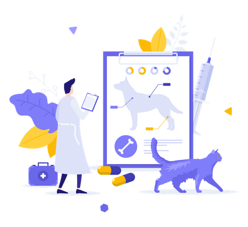 Anatomie du chien  Illustration