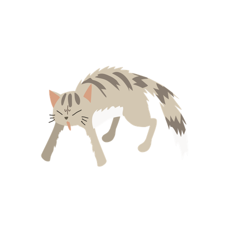 怒った猫  イラスト