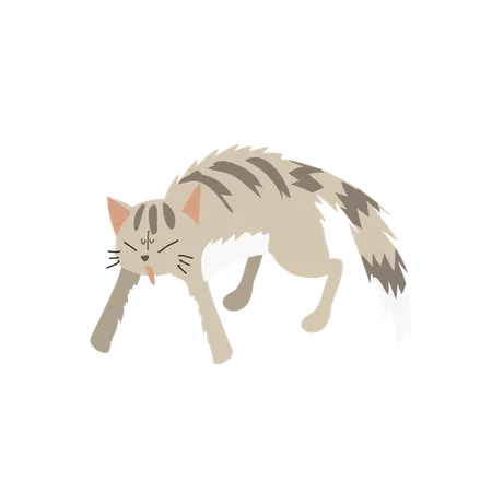 怒った猫  イラスト