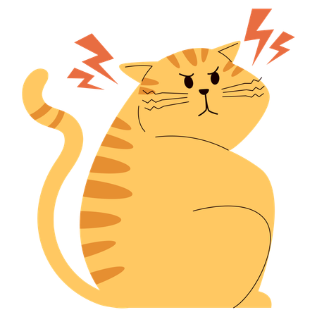 Angry Cat  Illustration