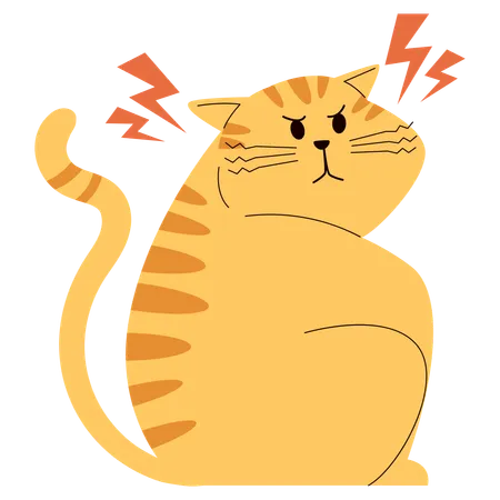 Angry Cat  Illustration