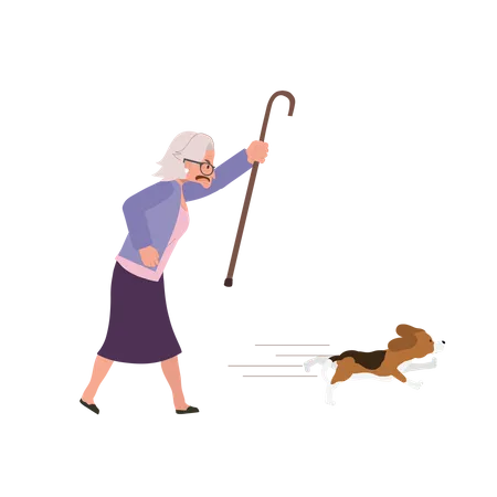 Angry Elderly Woman Determinedly Pursuing Her Energetic Dog  Illustration