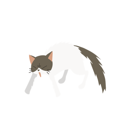 Verängstigte Katze  Illustration