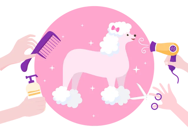 Animal Beauty Salon  Illustration