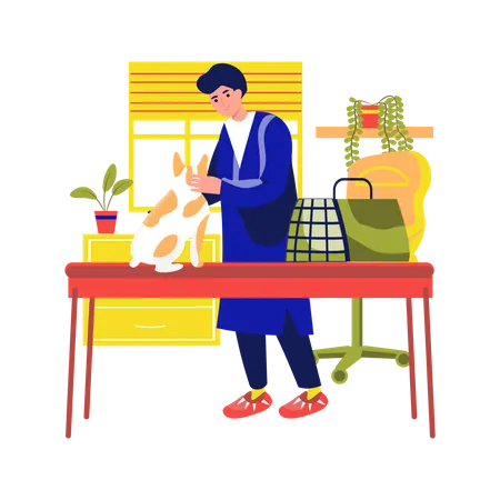 Animal doctor doing check up of dog  Illustration