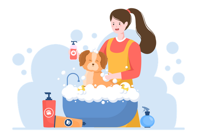 Animal Grooming Service  Illustration