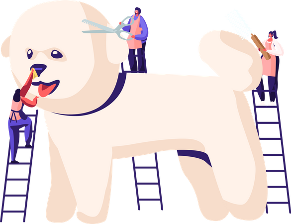 Animal hairdresser trimming puppy hairs Illustration