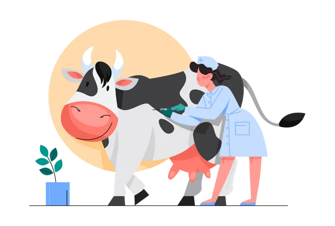 Animal vaccination, Nurse making a vaccine injection to a cow  Illustration