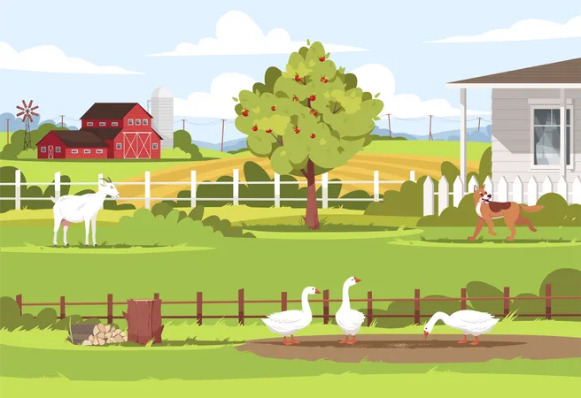 Animals in Farm  Illustration