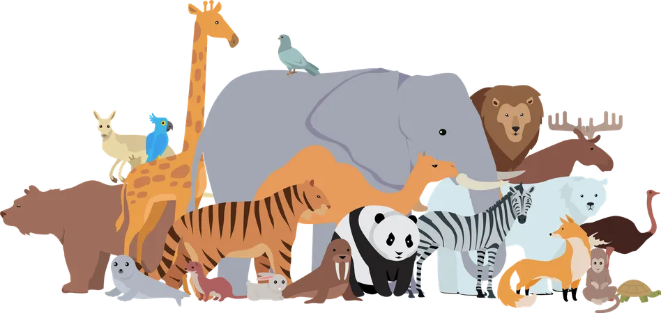 Animals of Different Spices Banner. Zoo  Illustration