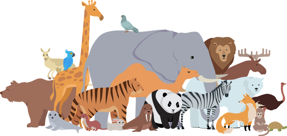 Bannière d'animaux de différentes épices. Zoo  Illustration