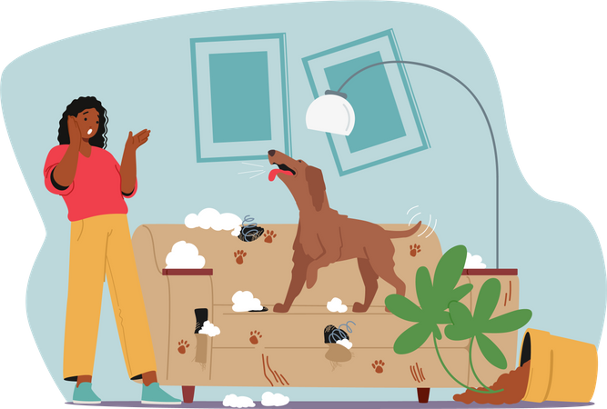 Anxious female owner looking at dog damaged sofa  Illustration