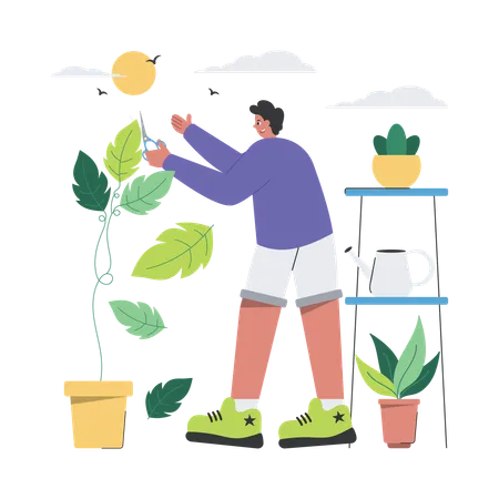 Aparar folhas de plantas  Ilustração