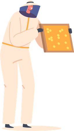 Apiarist Beekeeper Holding Wooden Frame Full Of Honeycomb Illustration