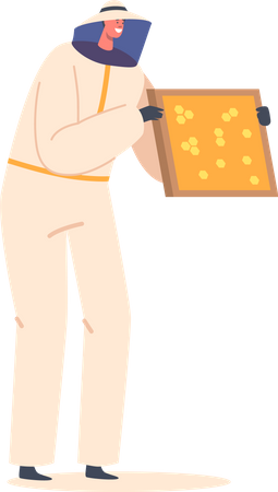 Apiarist Beekeeper Holding Wooden Frame Full Of Honeycomb  Illustration