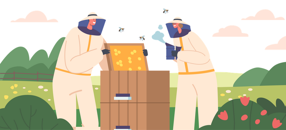 Apiario de apicultura  Ilustración