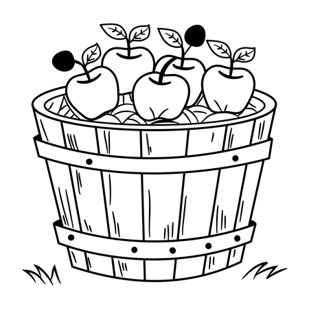 Apple Basket  Illustration