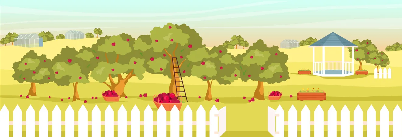 Apple garden  Illustration